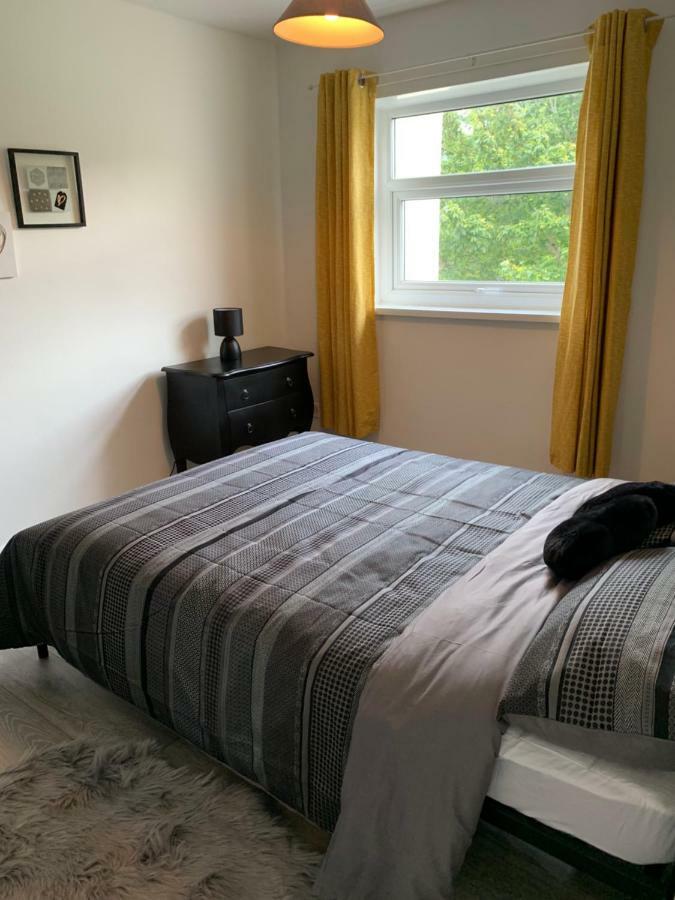 Modern flat in Harlech - dog friendly! Lägenhet Exteriör bild